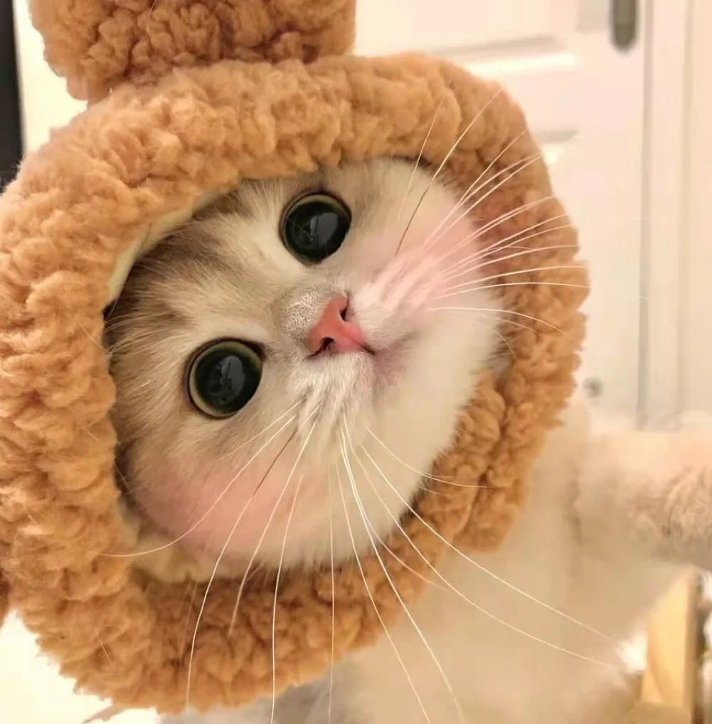 Pawtume – Cute Pet Costume Hats