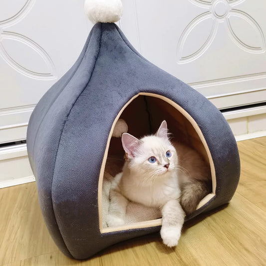 Feline Haven