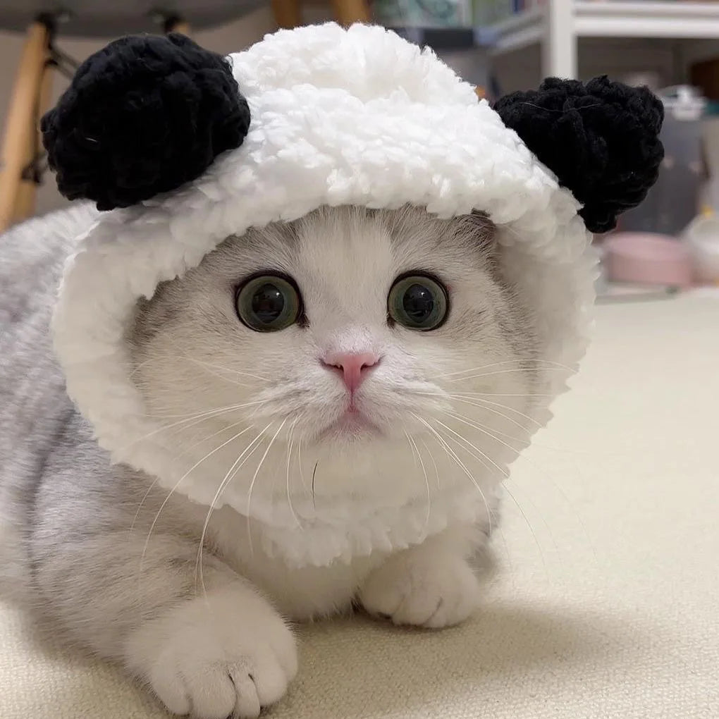 Pawtume – Cute Pet Costume Hats