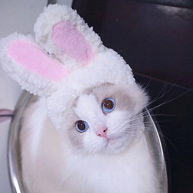 Pawtume – Cute Pet Costume Hats