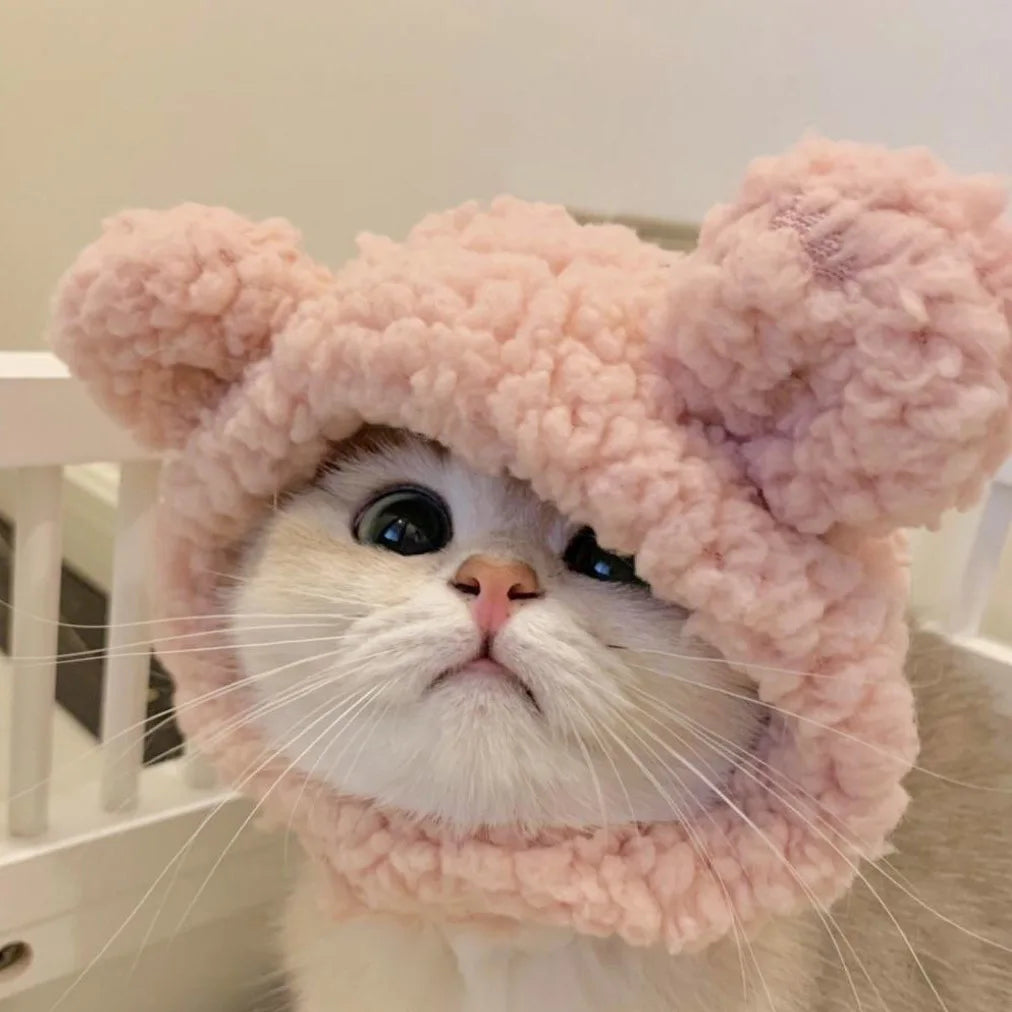 Pawtume – Cute Pet Costume Hats