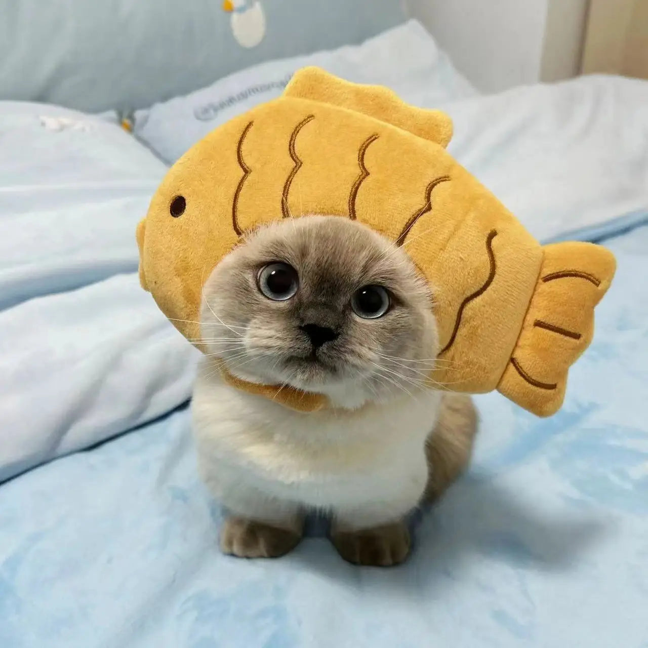 Pawtume – Cute Pet Costume Hats