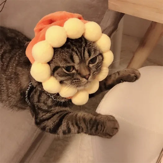 Pawtume – Cute Pet Costume Hats