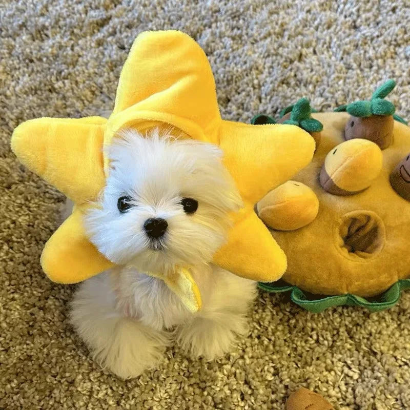 Pawtume – Cute Pet Costume Hats