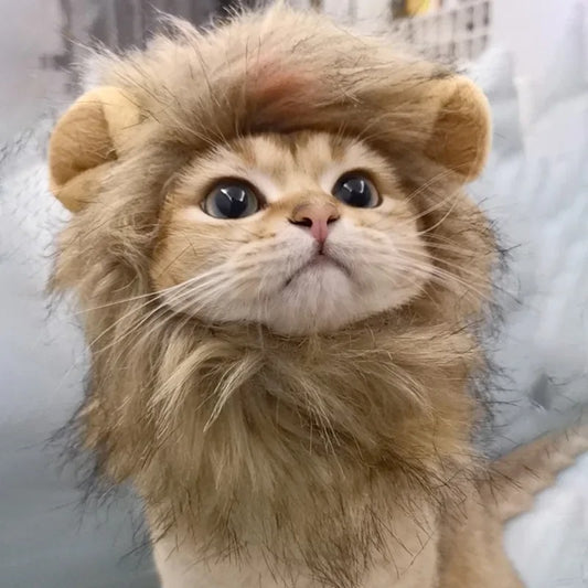 Pawtume – Cute Pet Costume Hats